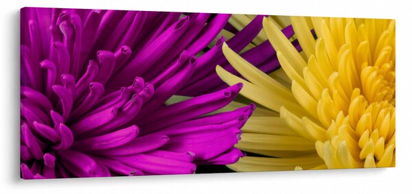 Slika - detalj cvijetova (120x50 cm)