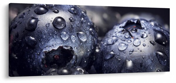 Slika voća s kapima vode (120x50 cm)