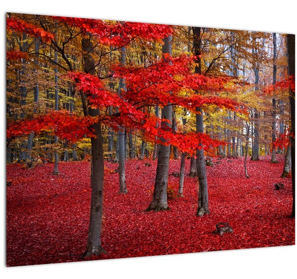 Slika - Rdeči gozd (70x50 cm)