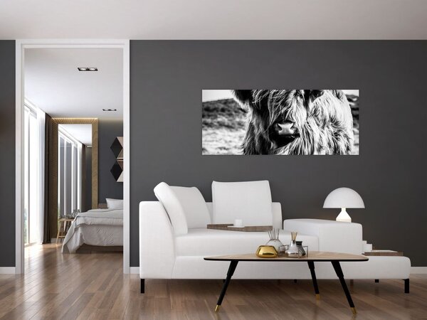 Slika - Highland - Škotska krava (120x50 cm)