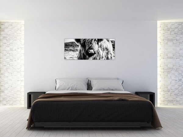 Slika - Highland - Škotska krava (120x50 cm)