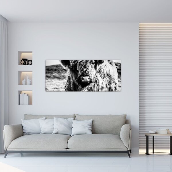 Slika - Highland - Škotska krava (120x50 cm)