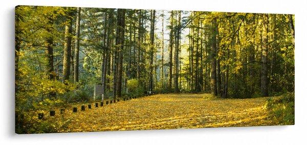 Slika - šuma u jesen (120x50 cm)