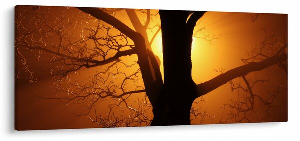 Slika drveta pri zalasku sunca (120x50 cm)