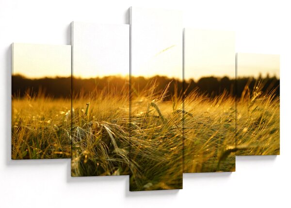 Slika rosne trave (150x105 cm)