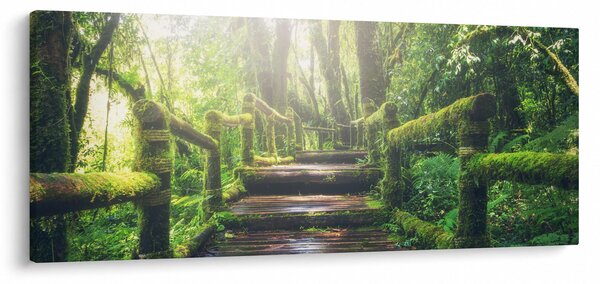 Slika - drvene stepenice u šumi (120x50 cm)