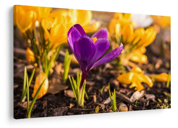 Slika ljubičastog cvijeta (90x60 cm)