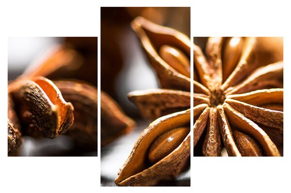 Slika - Anis (90x60 cm)