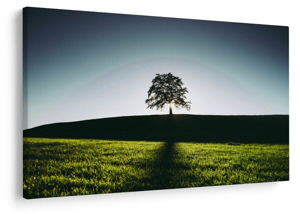 Slika prirode - stablo (90x60 cm)