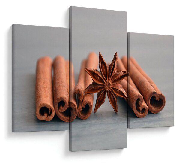 Slika cimeta (90x60 cm)
