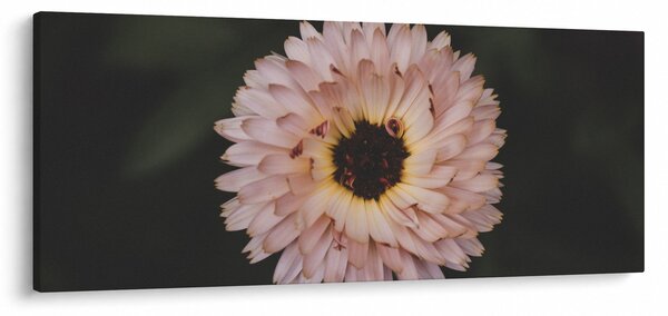 Slika narančastog cvijeta (120x50 cm)