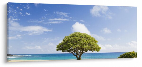 Slika plaže s drvetom (120x50 cm)