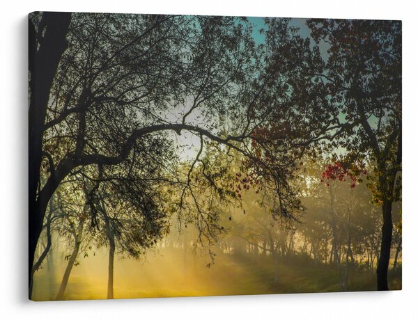 Slika izlaska sunca (70x50 cm)