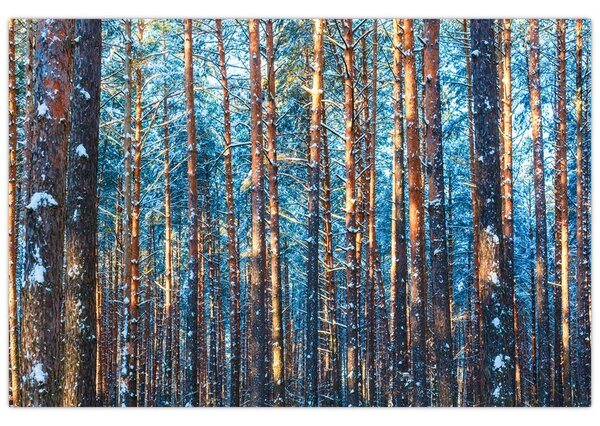Slika - Zimski gozd (90x60 cm)