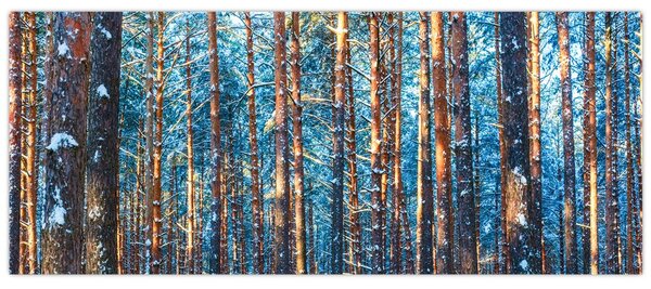 Slika - Zimski gozd (120x50 cm)