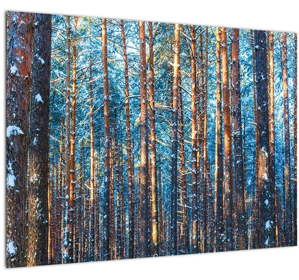 Slika - Zimski gozd (70x50 cm)
