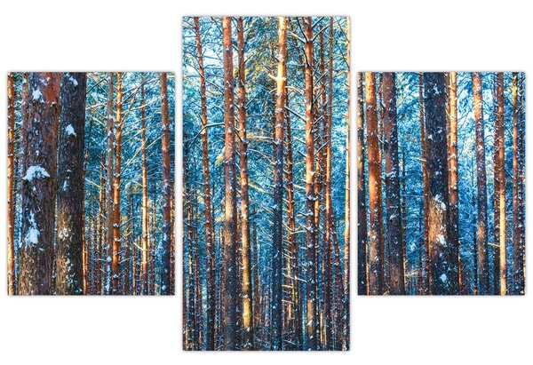 Slika - Zimski gozd (90x60 cm)