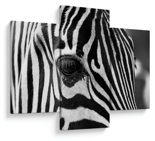 Slika zebre (90x60 cm)