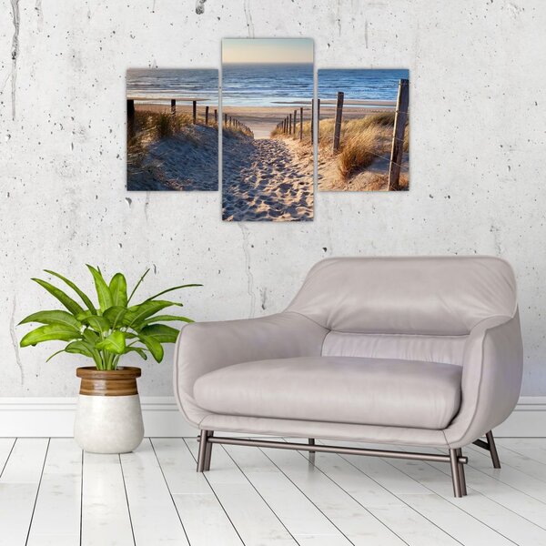 Slika - Cesta do plaže ob Severnem morju, Nizozemska (90x60 cm)