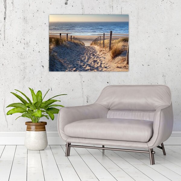 Slika - Cesta do plaže ob Severnem morju, Nizozemska (70x50 cm)