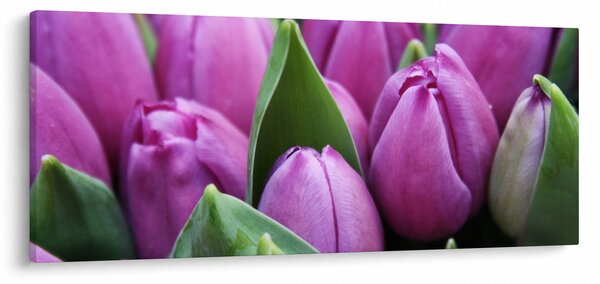 Slika - cvijeće tulipana (120x50 cm)