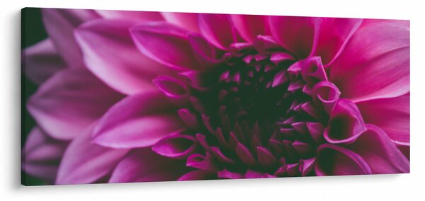 Slika ružičastog cvijeta (120x50 cm)