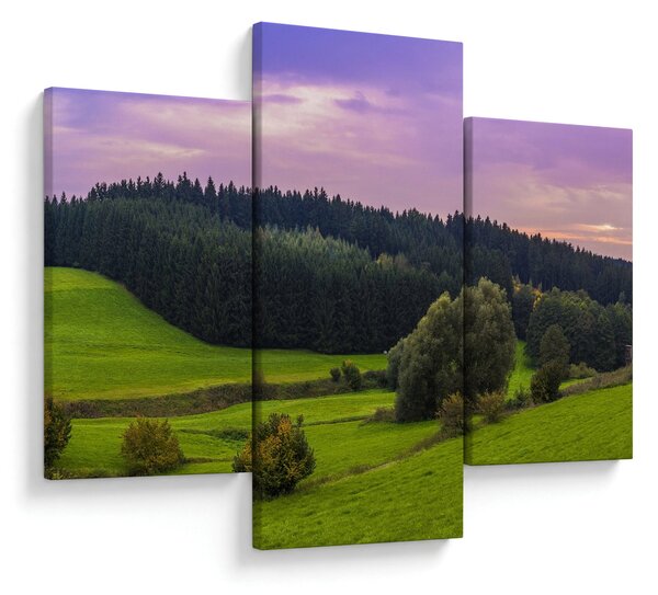 Slika livade (90x60 cm)