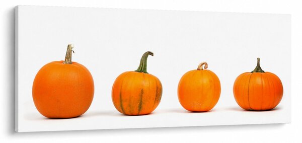 Slika tikve (120x50 cm)
