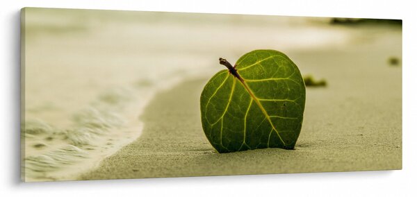 Slika lista u pijesku (120x50 cm)