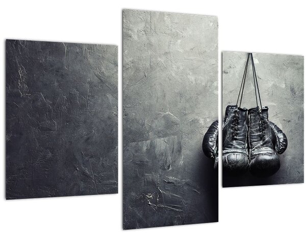 Slika boksarskih rokavic (90x60 cm)