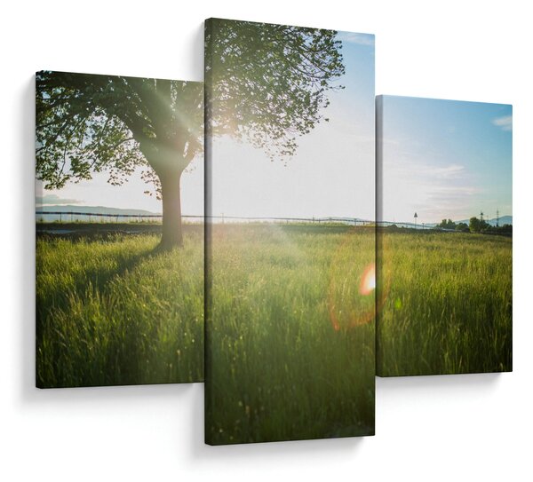 Slika ljetne livade (90x60 cm)