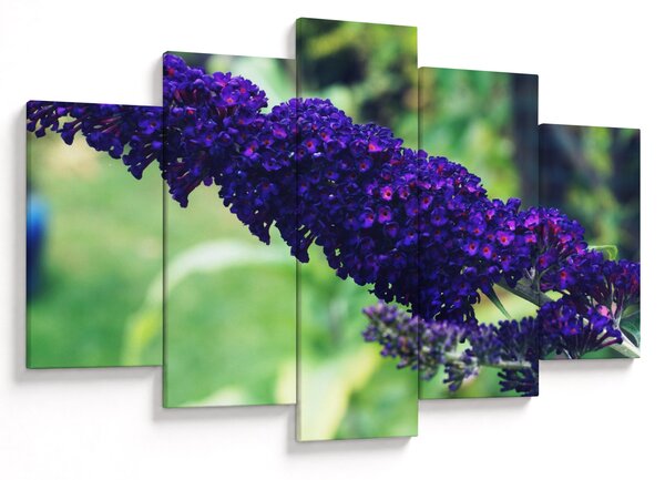 Slika plavog cvijeta (150x105 cm)