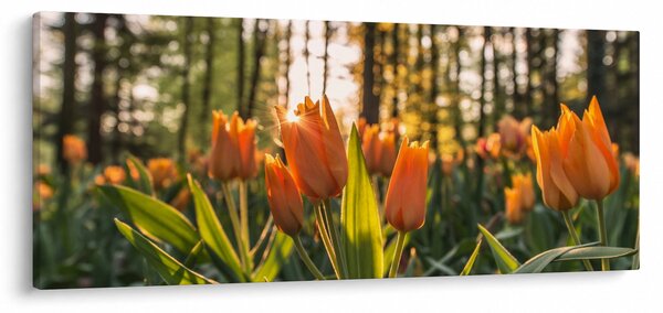 Slika - narančasti tulipani (120x50 cm)