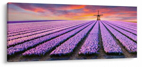 Slika - farma cvijeća (120x50 cm)