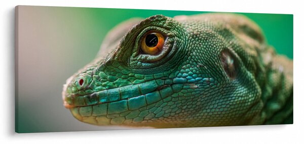 Detaljna slika guštera (120x50 cm)