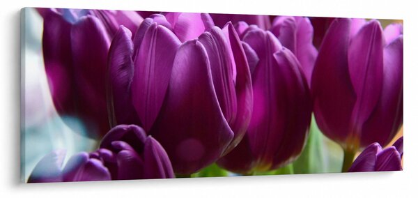Slika tulipana (120x50 cm)