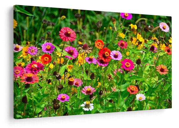 Slika livadskog cvijeća (90x60 cm)