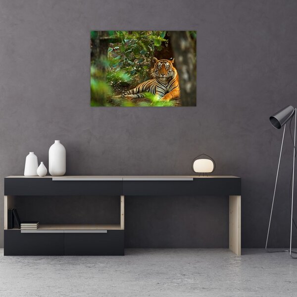 Slika počivajočega tigra (70x50 cm)