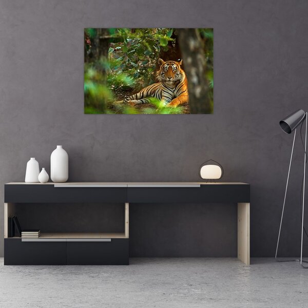 Slika počivajočega tigra (90x60 cm)