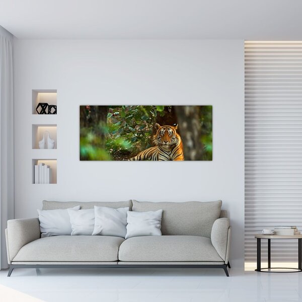 Slika počivajočega tigra (120x50 cm)