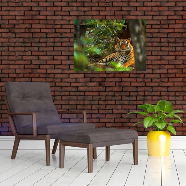 Slika počivajočega tigra (70x50 cm)