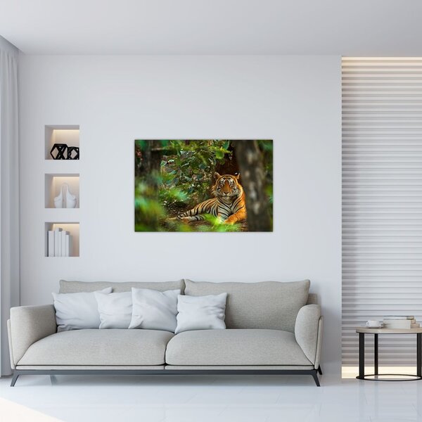 Slika počivajočega tigra (90x60 cm)