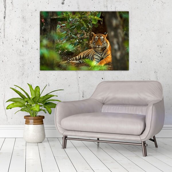 Slika počivajočega tigra (90x60 cm)