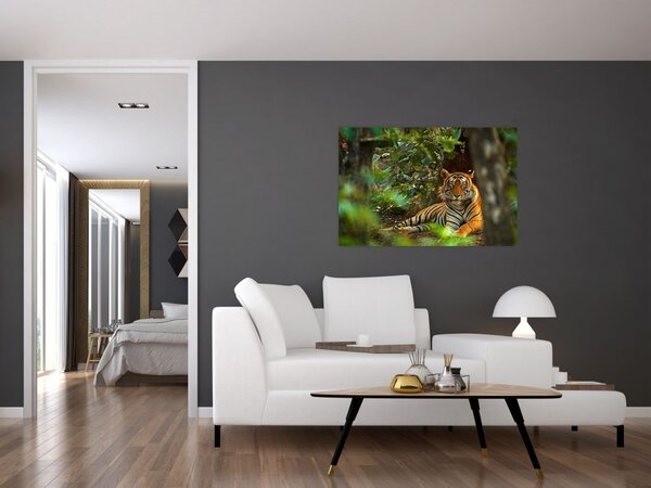 Slika počivajočega tigra (90x60 cm)