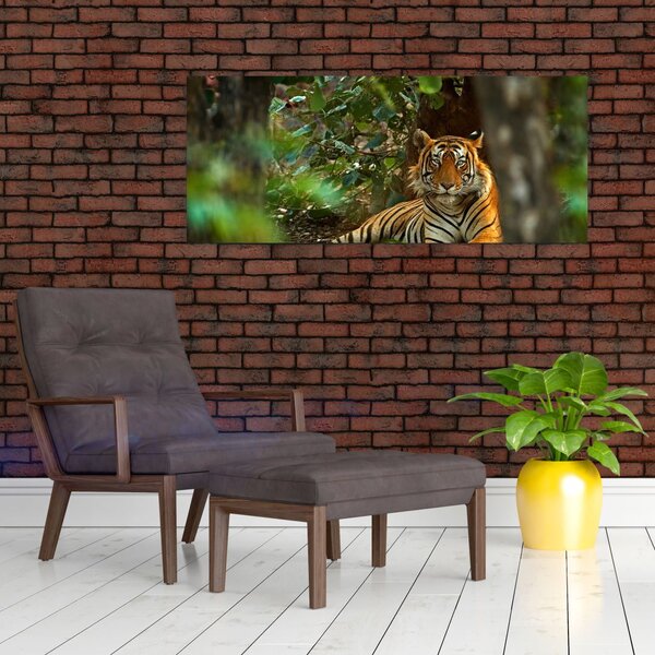 Slika počivajočega tigra (120x50 cm)