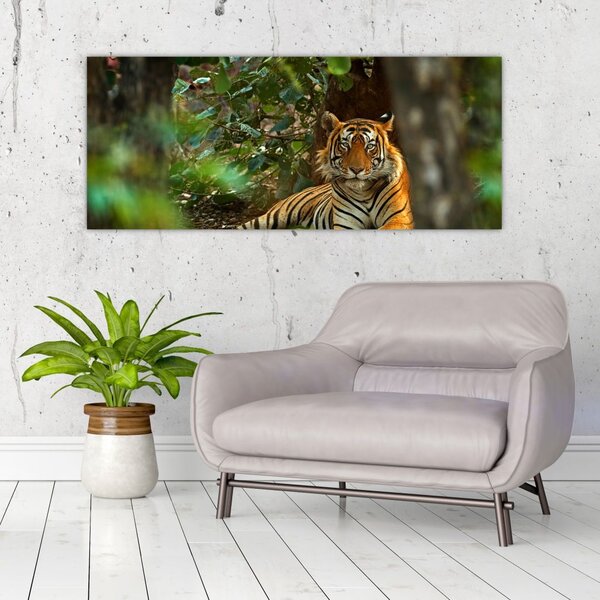 Slika počivajočega tigra (120x50 cm)