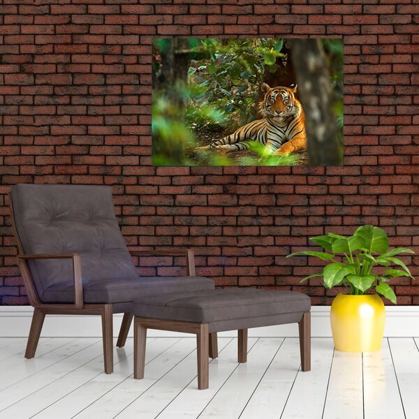 Slika počivajočega tigra (90x60 cm)