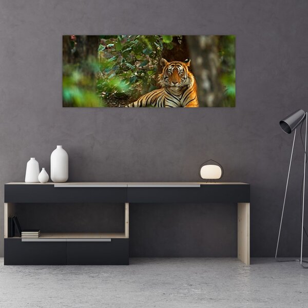 Slika počivajočega tigra (120x50 cm)