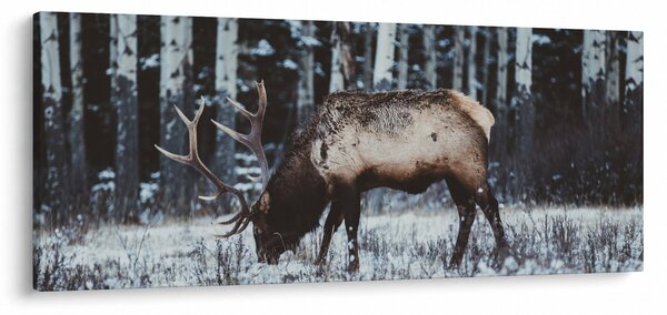 Slika - jelen zimi (120x50 cm)