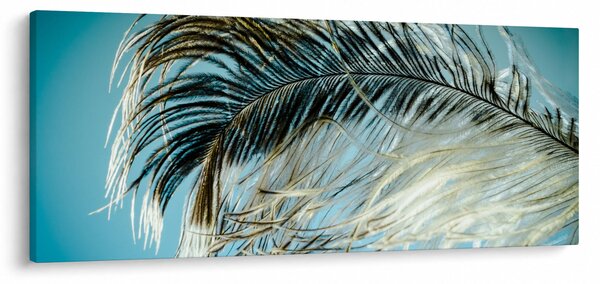 Slika pera (120x50 cm)